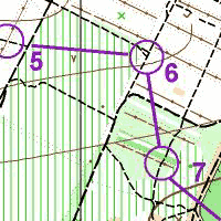 segment sample of Yellow course